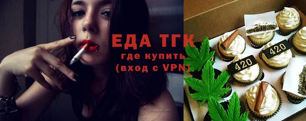 индика Медвежьегорск