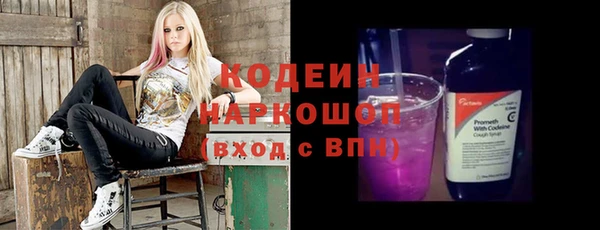 индика Медвежьегорск
