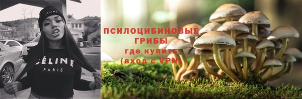 прущие крисы Медногорск