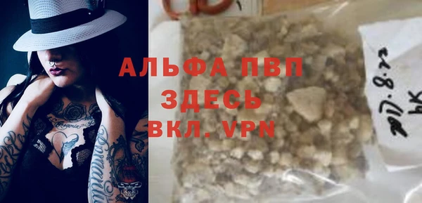 индика Медвежьегорск