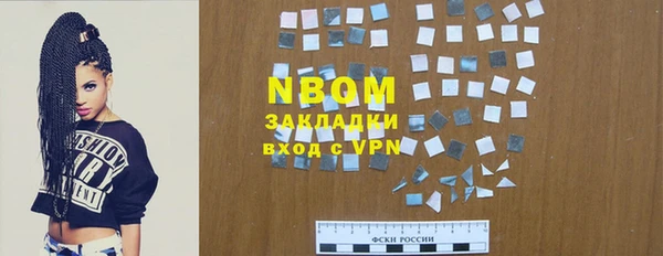 индика Медвежьегорск