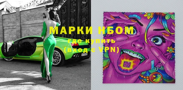 индика Медвежьегорск