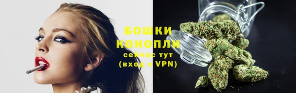 индика Медвежьегорск