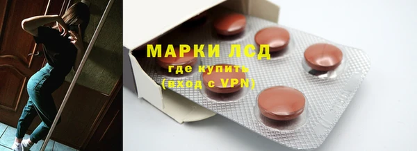 индика Медвежьегорск
