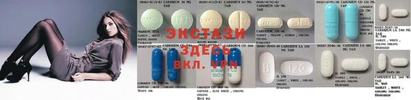 индика Медвежьегорск