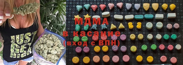 индика Медвежьегорск