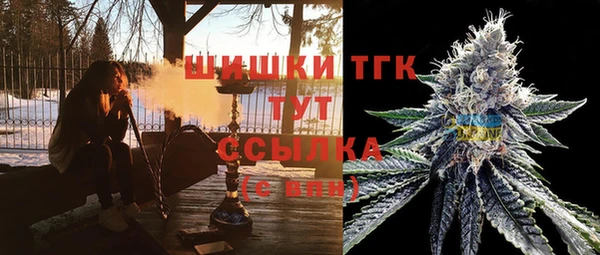 индика Медвежьегорск