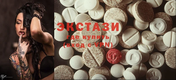 индика Медвежьегорск