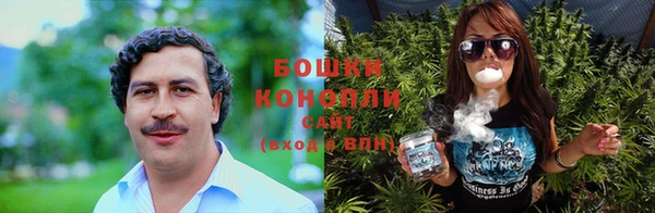индика Медвежьегорск