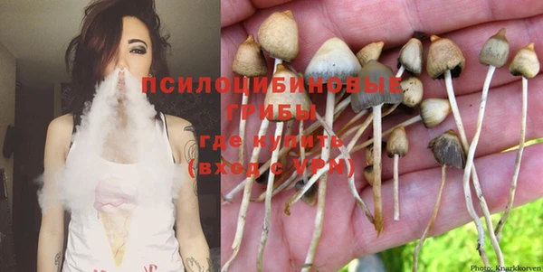 индика Медвежьегорск