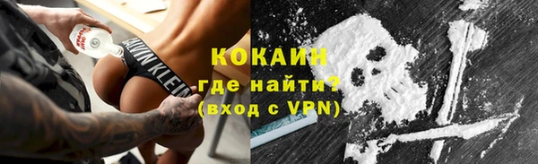 индика Медвежьегорск