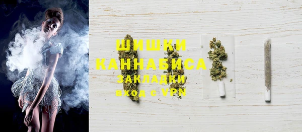 индика Медвежьегорск